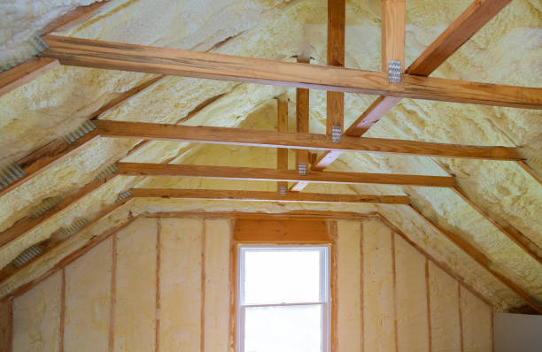 Best Geographic-Specific Insulation Services in Manhattan Beach, CA