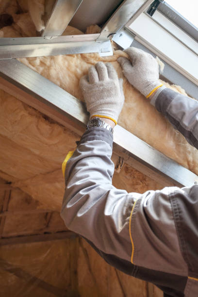Best Spray Foam Insulation in Manhattan Beach, CA