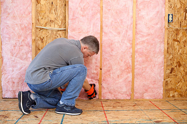 Types of Insulation We Offer in Manhattan Beach, CA