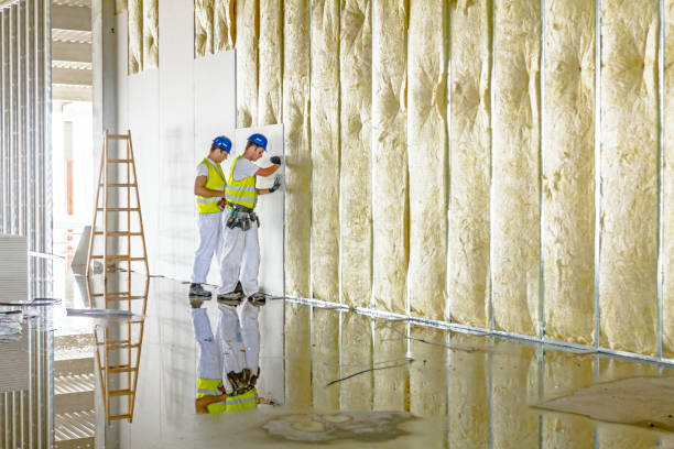 Best Energy Efficiency Insulation in Manhattan Beach, CA